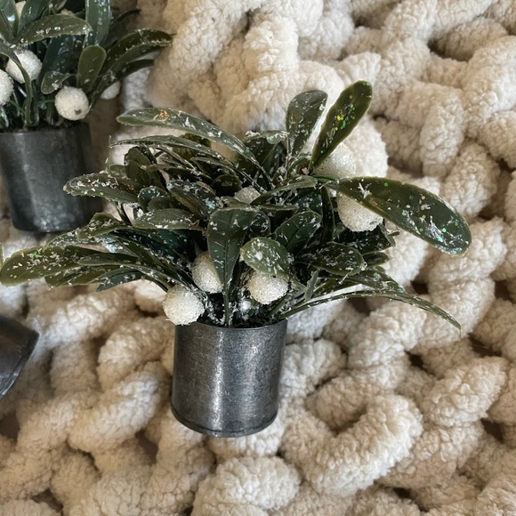 SET OF 3 MINI WINTER BERRY ARRANGEMENTS - Picture 4 of 8